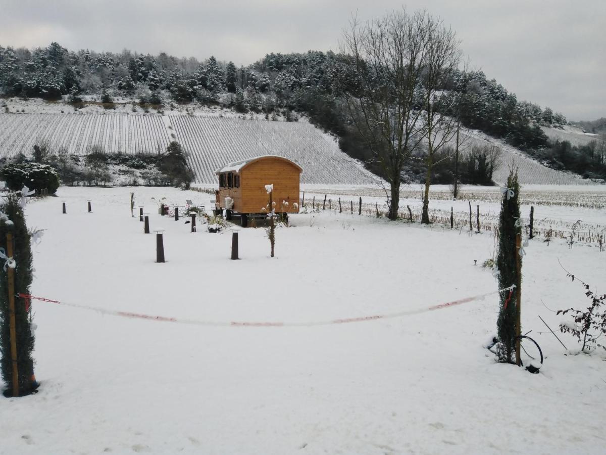L'Echappee Belle En Champagne Villa Spoy  ภายนอก รูปภาพ